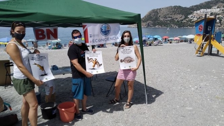 `Enconciencia` en la Playa de La Herradura (AYTO. ALMÑÉCAR)