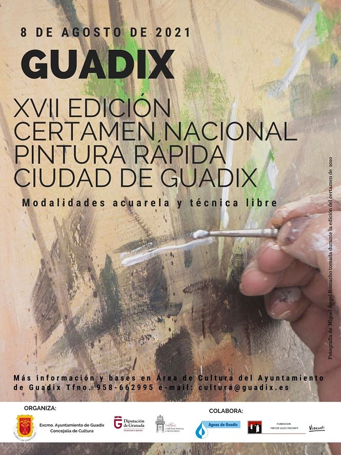 AYUNTAMIENTO GUADIX