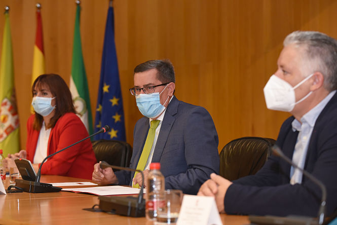 Imagen de la reunión (R. MARTÍNEZ / DIPGRA)