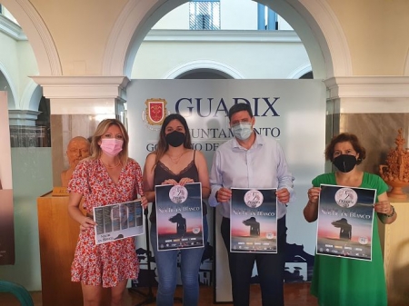 Presentación de `La noche en blanco` (AYTO. GUADIX)