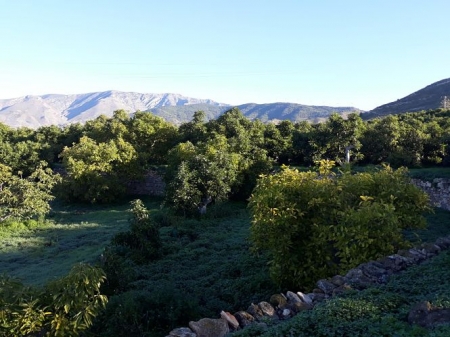 ON TECH INNOVATIÓN ON TECH INNOVATIÓN