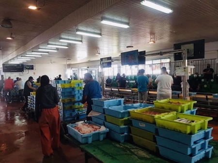 Lonja de Motril (AUTORIDAD PORTUARIA DE MOTRIL)