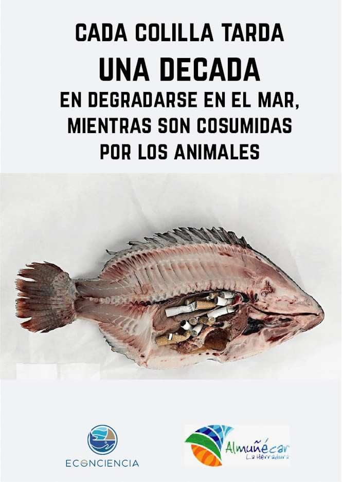 AYUNTAMIENTO ALMUÑÉCAR