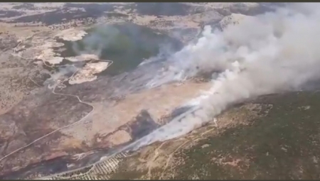 Lugar del incendio (INFOCA)