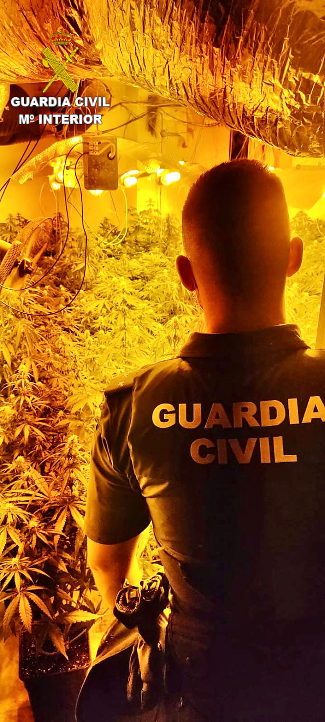 Un agente de la Guardia Civil en una de las plantaciones desarticuladas (GUARDIA CIVIL)
