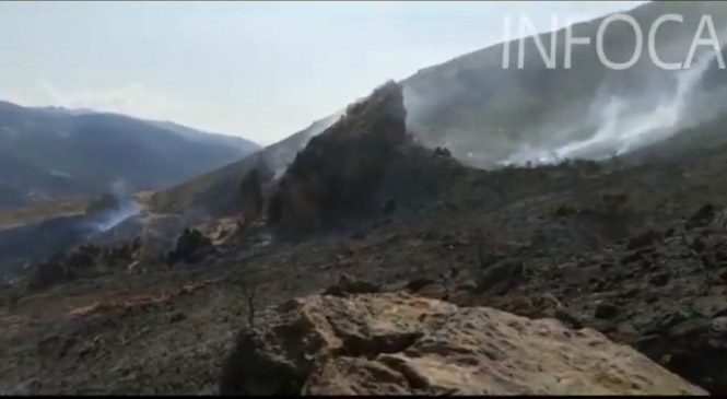 Lugar donde se ha producido el incendio (INFOCA)