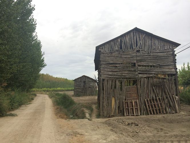 Un secadero de tabaco de Vegas del Genil (AYTO. VEGAS DEL GENIL) 
