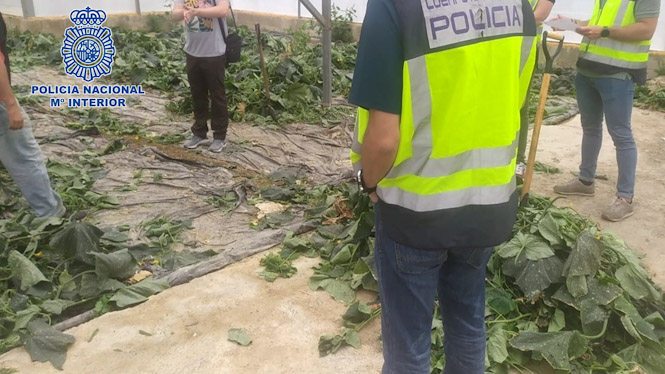 Imagen de la Operación Brácula (POLICÍA NACIONAL) 