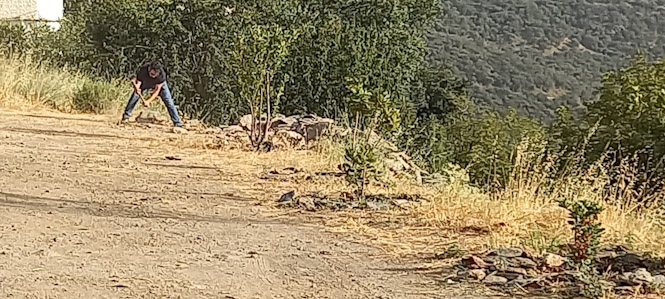 Plantación de árboles en Bubión (AYTO. BUBIÓN) 