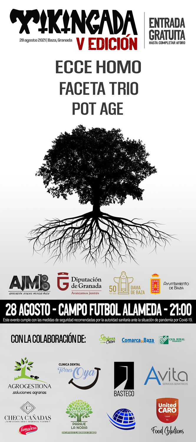 Cartel de la Vikingada (DIPUTACIÓN) 