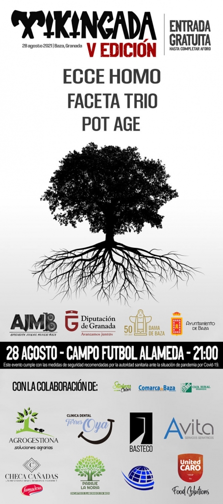 Cartel de la Vikingada (DIPUTACIÓN) 