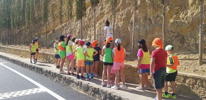 AYUNTAMIENTO DE GUADIX