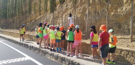 AYUNTAMIENTO DE GUADIX