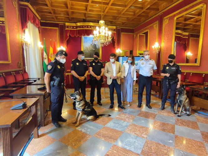 Recepción a Stan Lee (AYTO. GRANADA) 