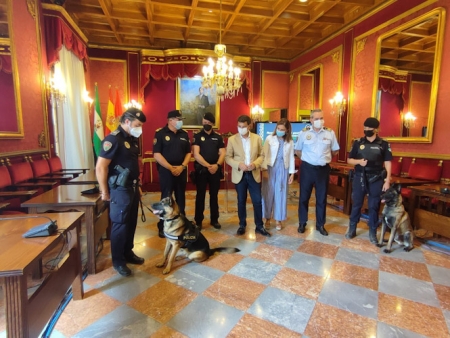 Recepción a Stan Lee (AYTO. GRANADA) Recepción a Stan Lee (AYTO. GRANADA)
