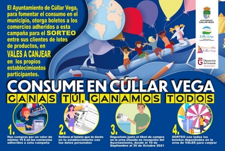 AYUNTAMIENTO CÚLLAR VEGA 