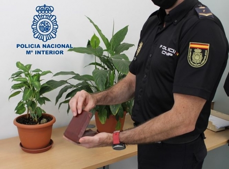 Agente de la Policía Nacional (POLICÍA NACIONAL)