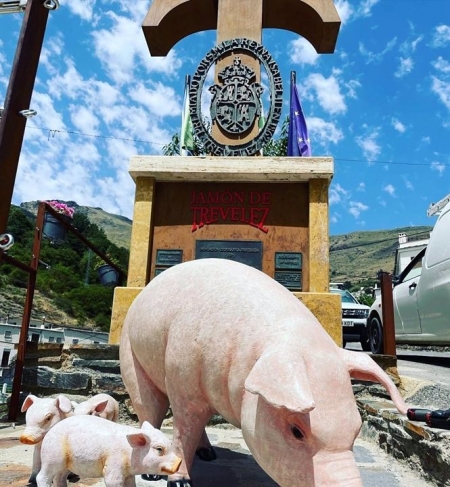 Jamón de Trevélez (AYUNTAMIENTO DE TREVÉLEZ) 