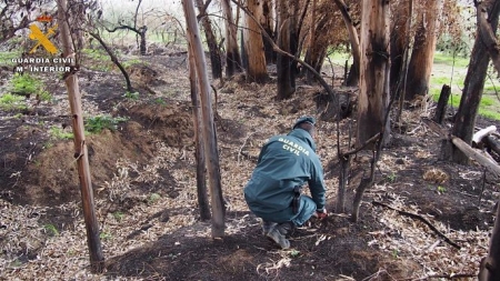 Imagen de archivo de un guardia civil en la zona de un incendio. (GUARDIA CIVIL)