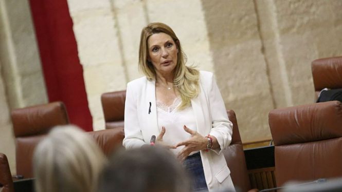 La parlamentaria andaluza de Ciudadanos, Concha Insúa (CIUDADANOS)