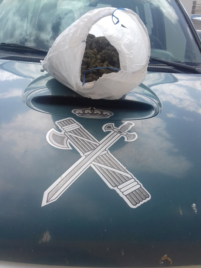 Imagen de la marihuana (GUARDIA CIVIL)
