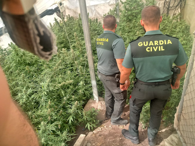 Una de las plantaciones desarticuladas (GUARDIA CIVIL)