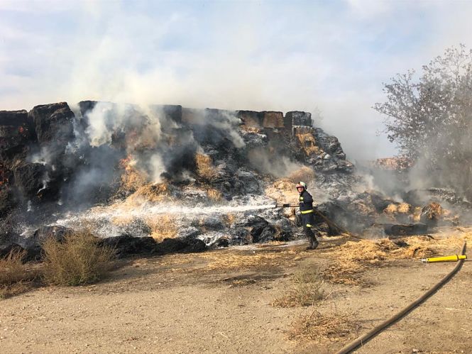 Bomberos en tareas de extinción del incendio (AYTO. GUADIX)