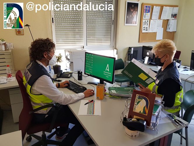JUNTA DE ANDALUCIA