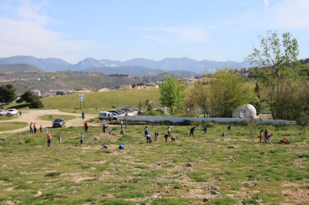reforestación participativa llevada a cabo en el Parque de las Canteras (AYTO. LA ZUBIA) 