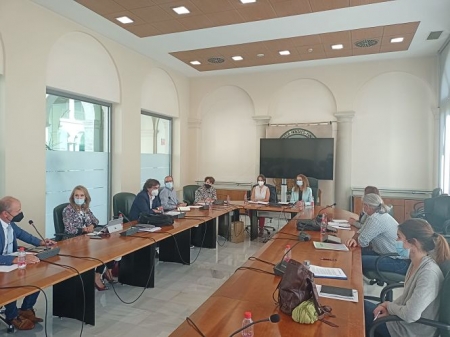 Comisión Provincial de seguimiento (JUNTA) Comisión Provincial de seguimiento (JUNTA)