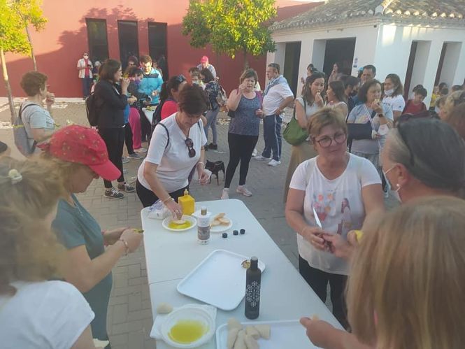 Ruta saludable organizada por el Ayuntamiento de Montefrío (AYTO. MONTEFRIO)