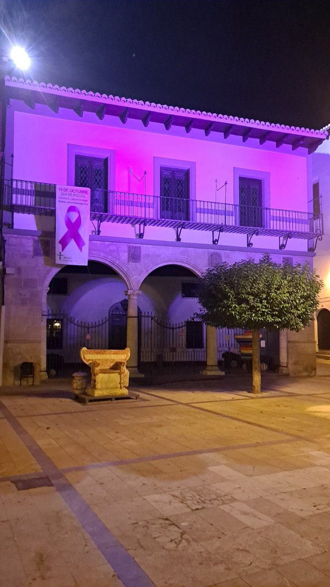 Museo Arqueológico iluminado de rosa (AYTO. BAZA)