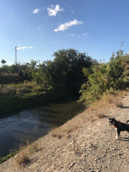 Ruta de senderismo con perros (AYTO. VEGAS DEL GENIL) 
