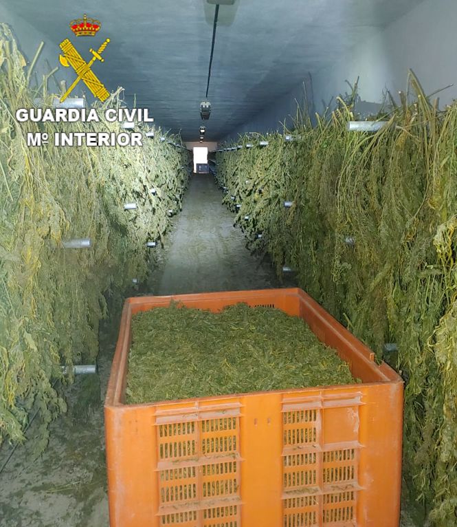  Imagen de la marihuana incautada (GUARDIA CIVIL)