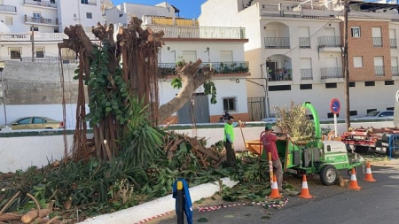 Trabajos de poda en La Herradura (AYTO. ALMUÑÉCAR)