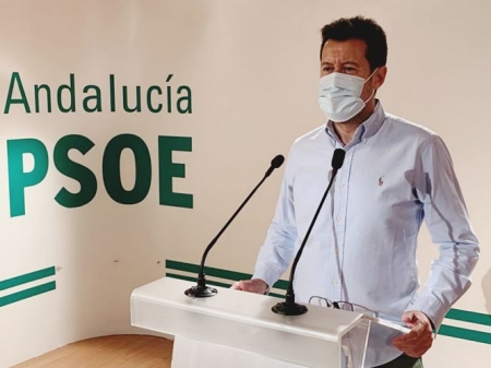 El senador del PSOE, Alejandro Zubeldia (PSOE) El senador del PSOE, Alejandro Zubeldia (PSOE)