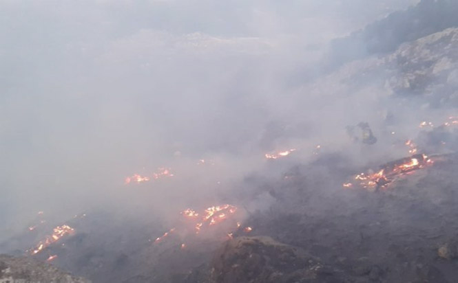 Incendio forestal declarado en el paraje Cruz de Víznar (INFOCA)