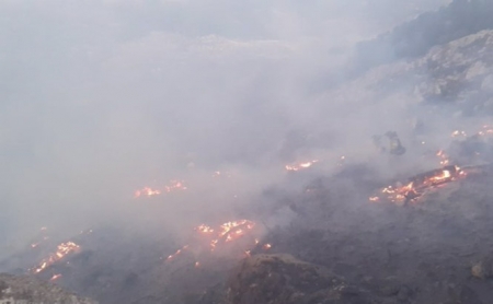 Incendio forestal declarado en el paraje Cruz de Víznar (INFOCA)