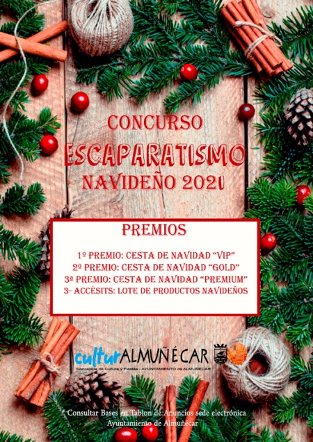 AYUNTAMIENTO ALMUÑÉCAR 