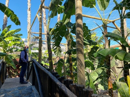 Mejoras en el parque ornitológico `Loro Sexi` (AYTO. ALMUÑÉCAR)
