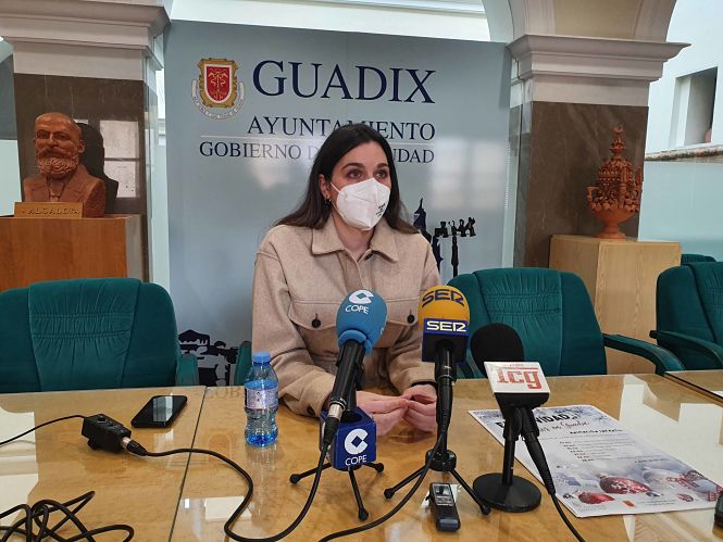 Presentación de las actividades (AYTO. GUADIX)