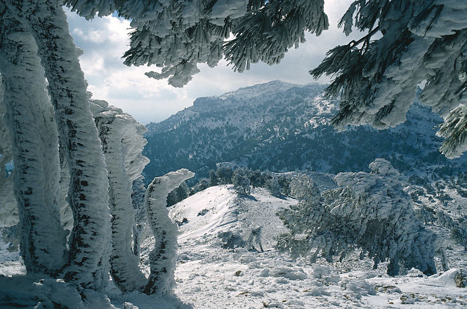 Imagen de Sierra Nevada (JUNTA) 