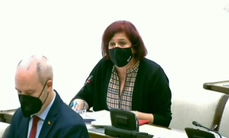 La diputada socialista en Cortes por Granada Elvira Ramón, en imagen de archivo (PSOE)