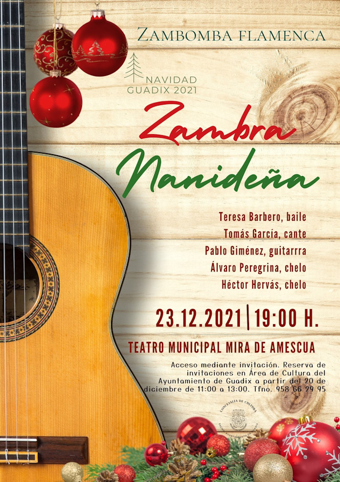 AYUNTAMIENTO DE GUADIX 