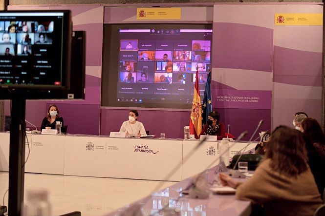 Reunión del Consejo de Participación de la Mujer (INSTITUTO DE LAS MUJERES) 