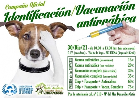 AYUNTAMIENTO VEGAS DEL GENIL 