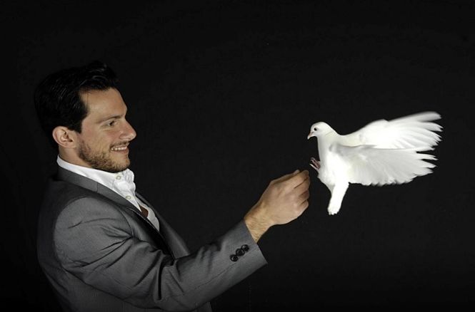 FESTIVAL HOCUS POCUS