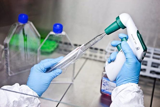 Imagen de recurso de un laboratorio de investigación de Cabimer (JUNTA) 