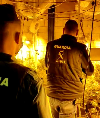 Agentes de la Guardia Civil en una de las plantaciones (GUARDIA CIVIL) 