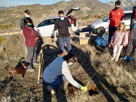 Plantación de árboles llevada a cabo en el Barranco Pollino de Monachil (AYTO. MONACHIL) 